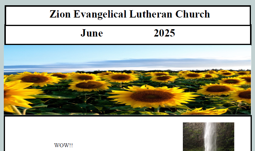 Newsletter June 2025